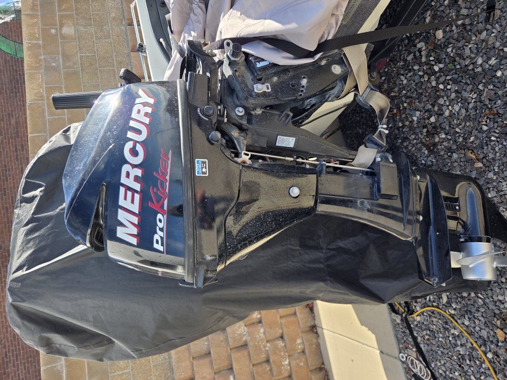 9.9 kicker, motor. Mercury