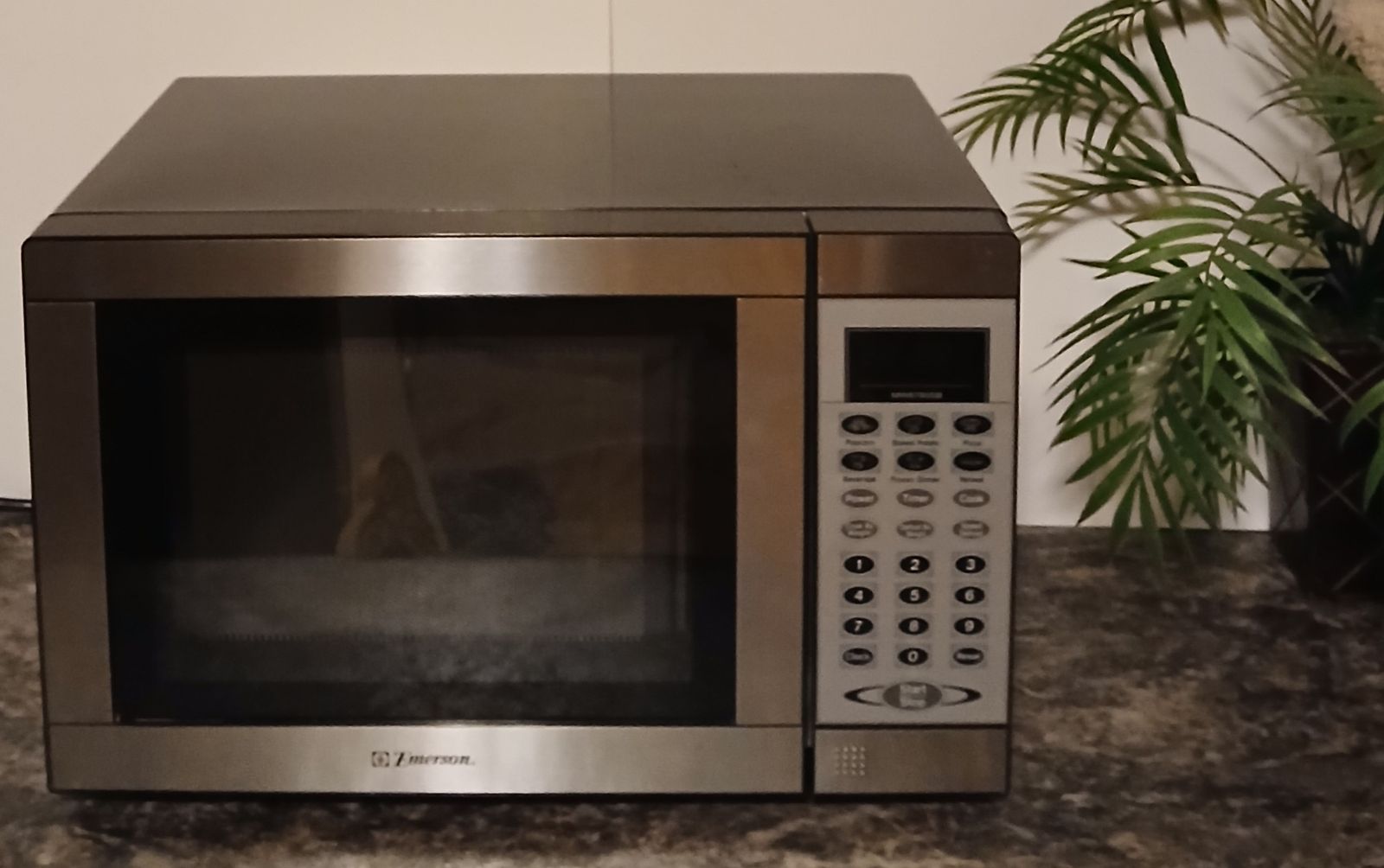 Emerson Microwave