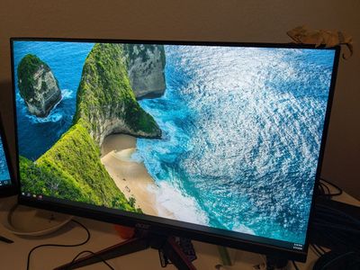 Acer Computer Monitor - 23.8"