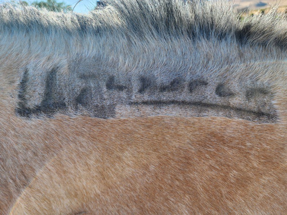 Main image 9