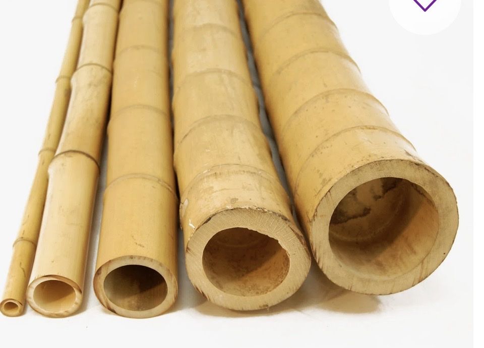 Natural Bamboo Poles for Gardening, Tresslling, and Crafts