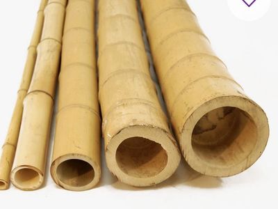 Natural Bamboo Poles for Gardening, Tresslling, and Crafts