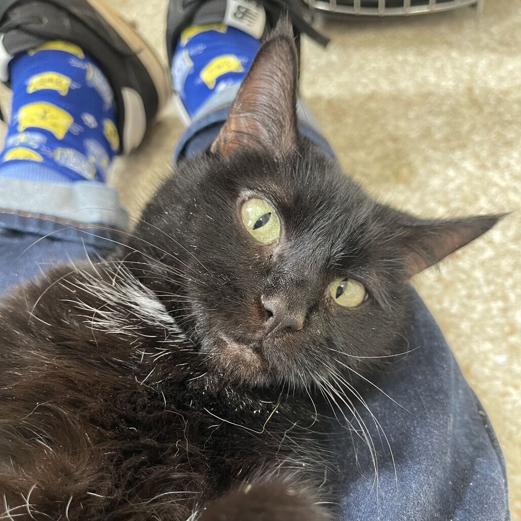 Hello my name is Hedda