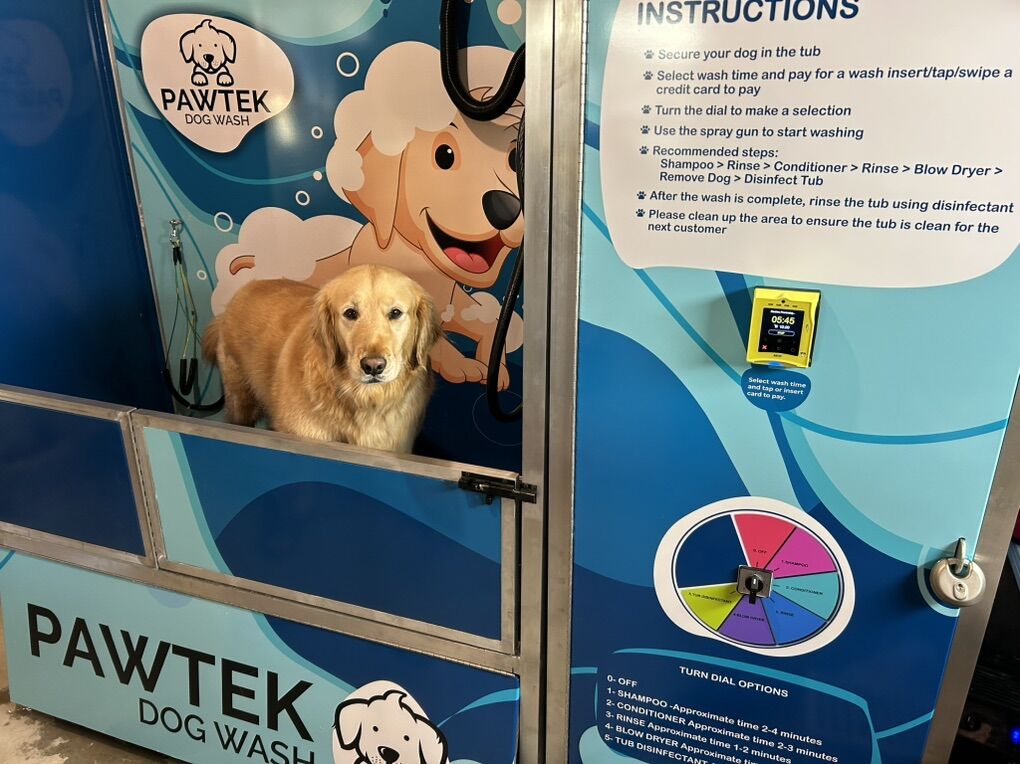 Dog Wash Business
