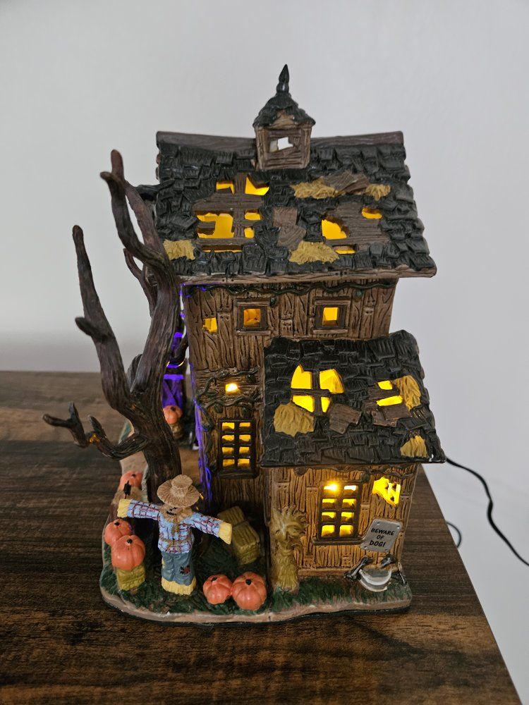 Main image 11