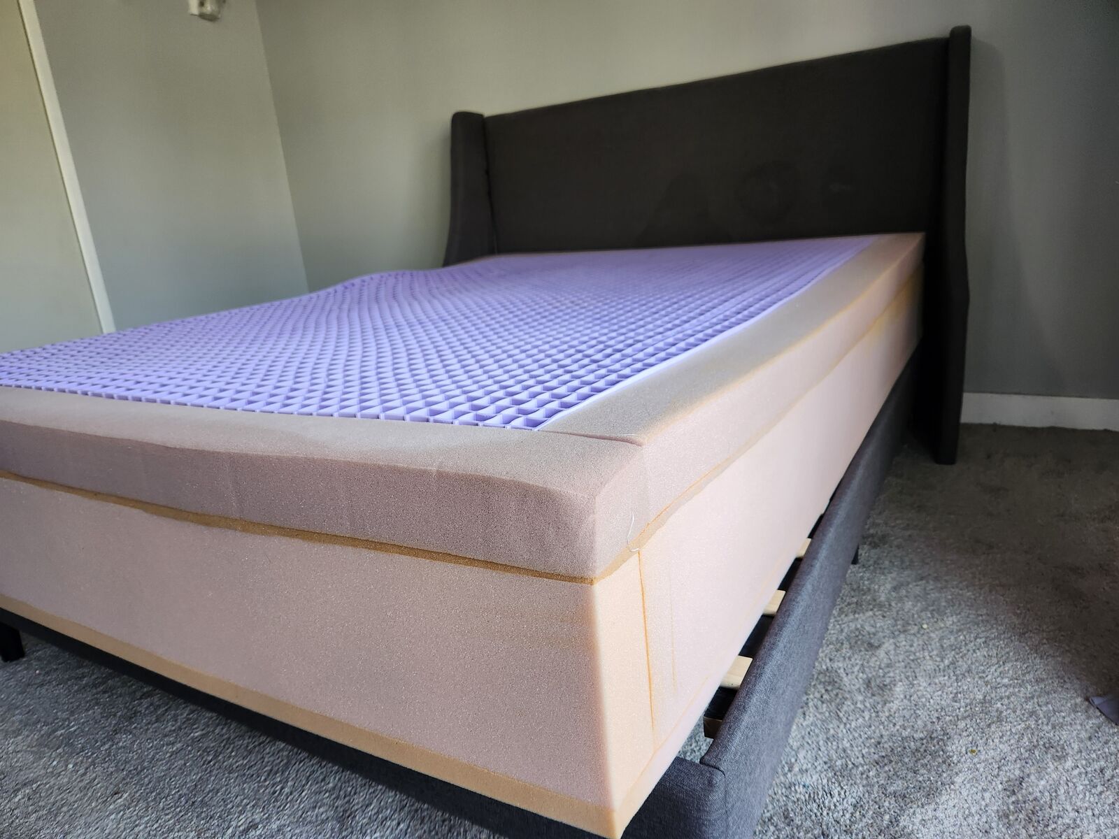 purple bed box springs with frame