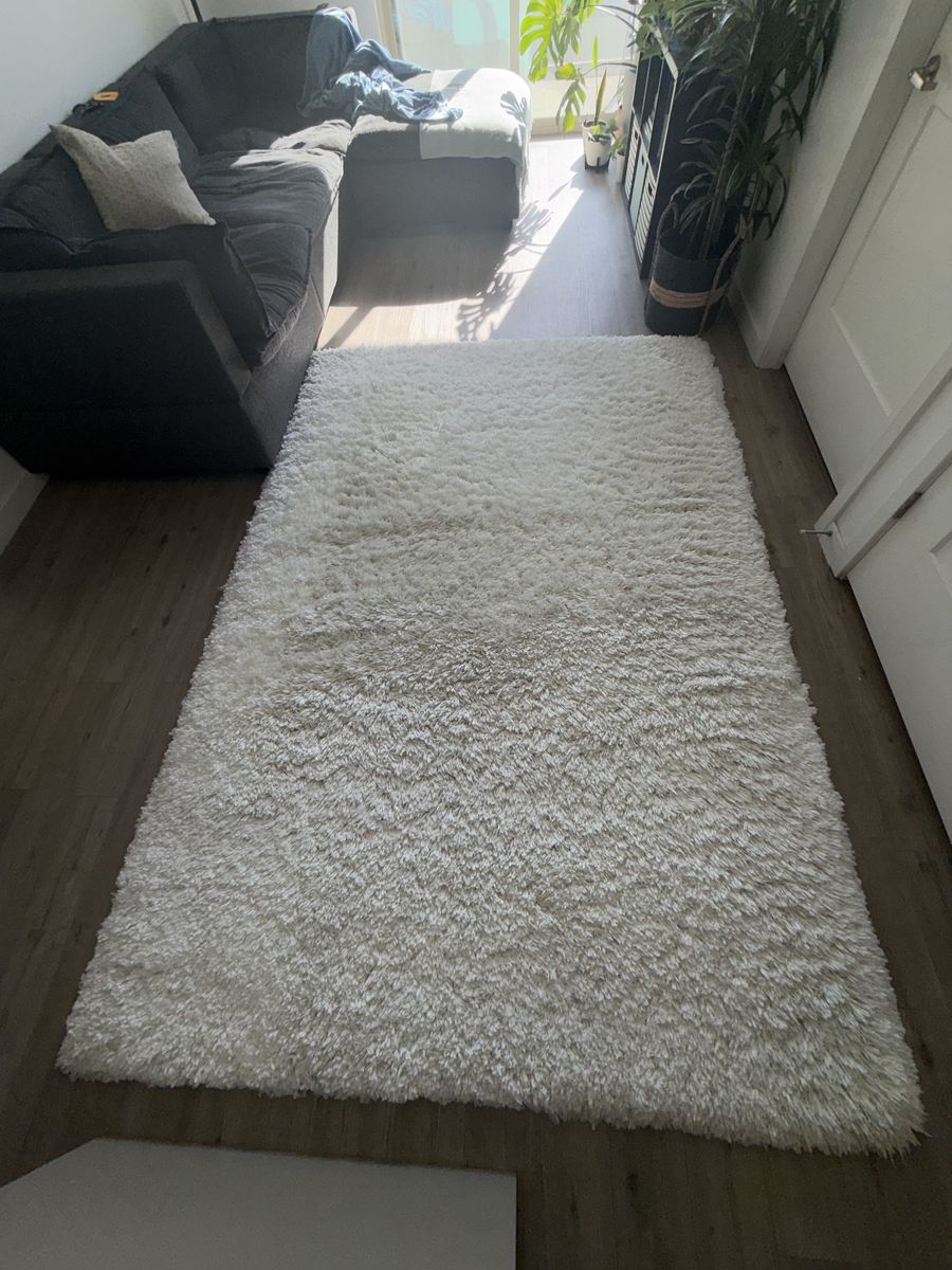 6 x 9 West Elm Cozy Plush Performance Shag Rug in White