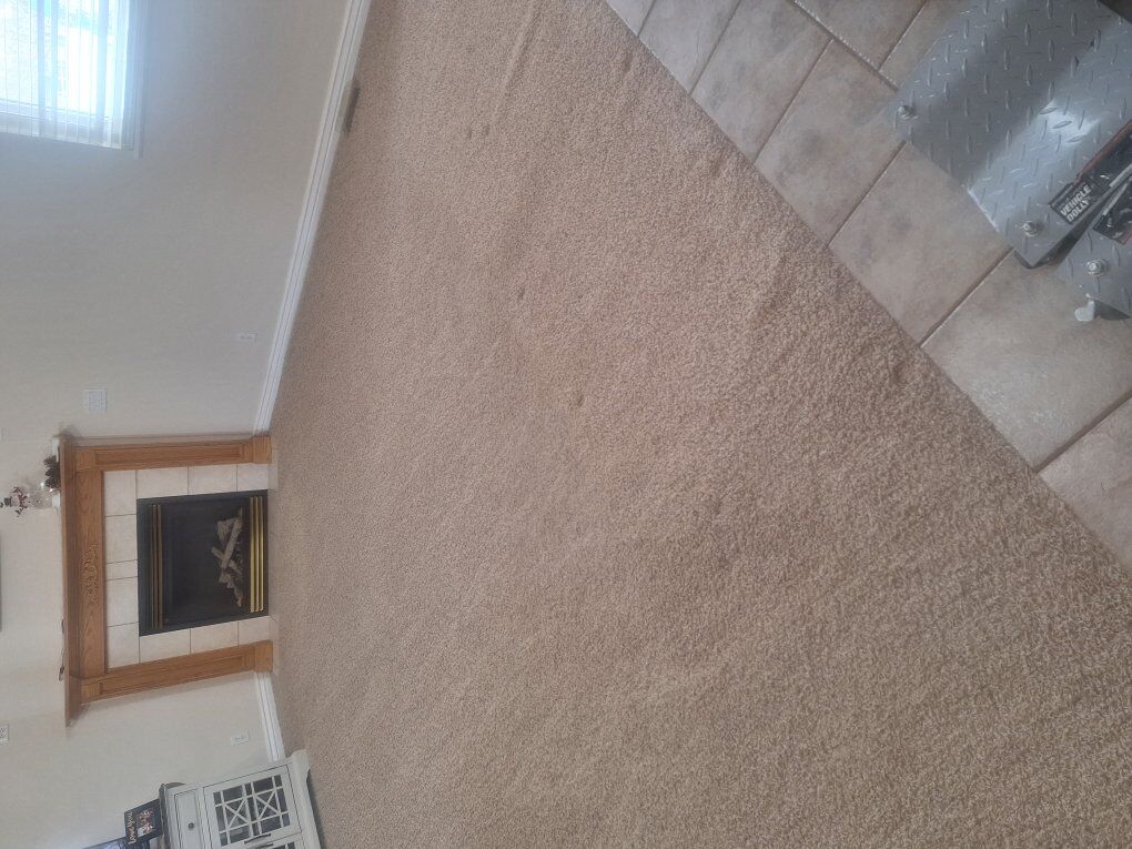 Carpet