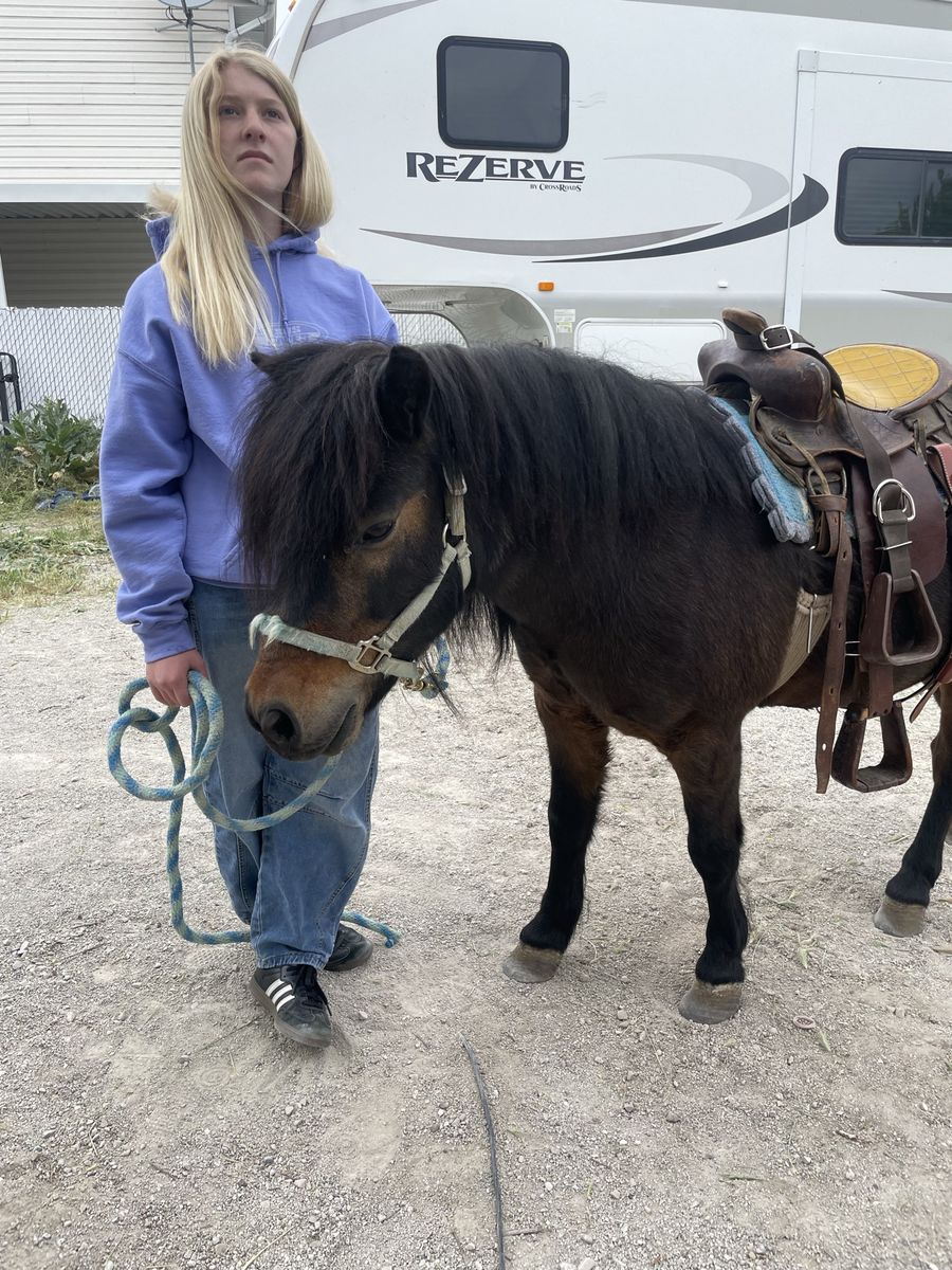 Pony rides Birthday rental event rental parties horse