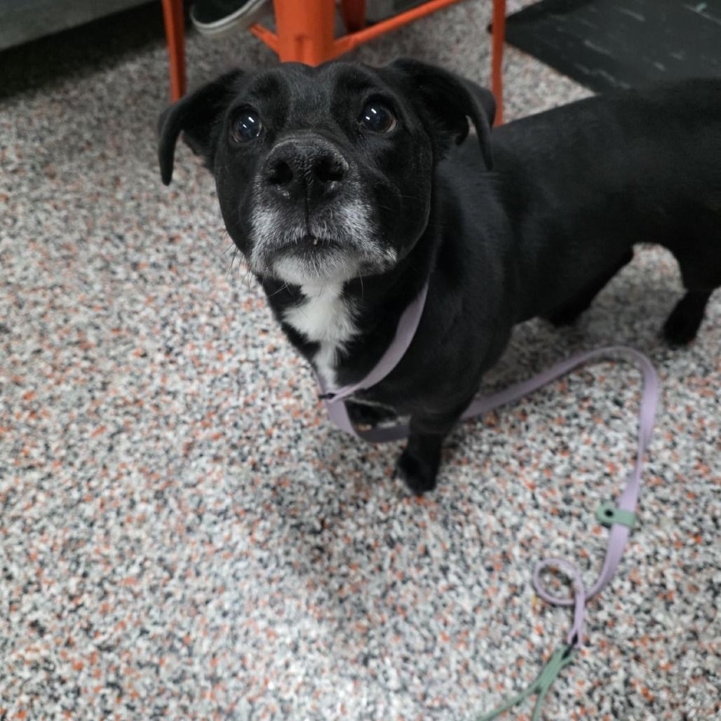 Hello my name is Navy