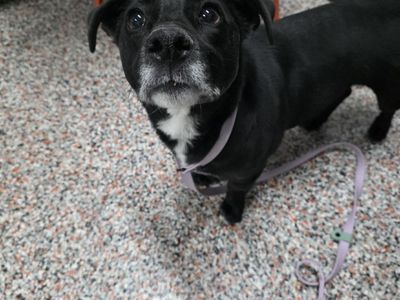 Hello my name is Navy