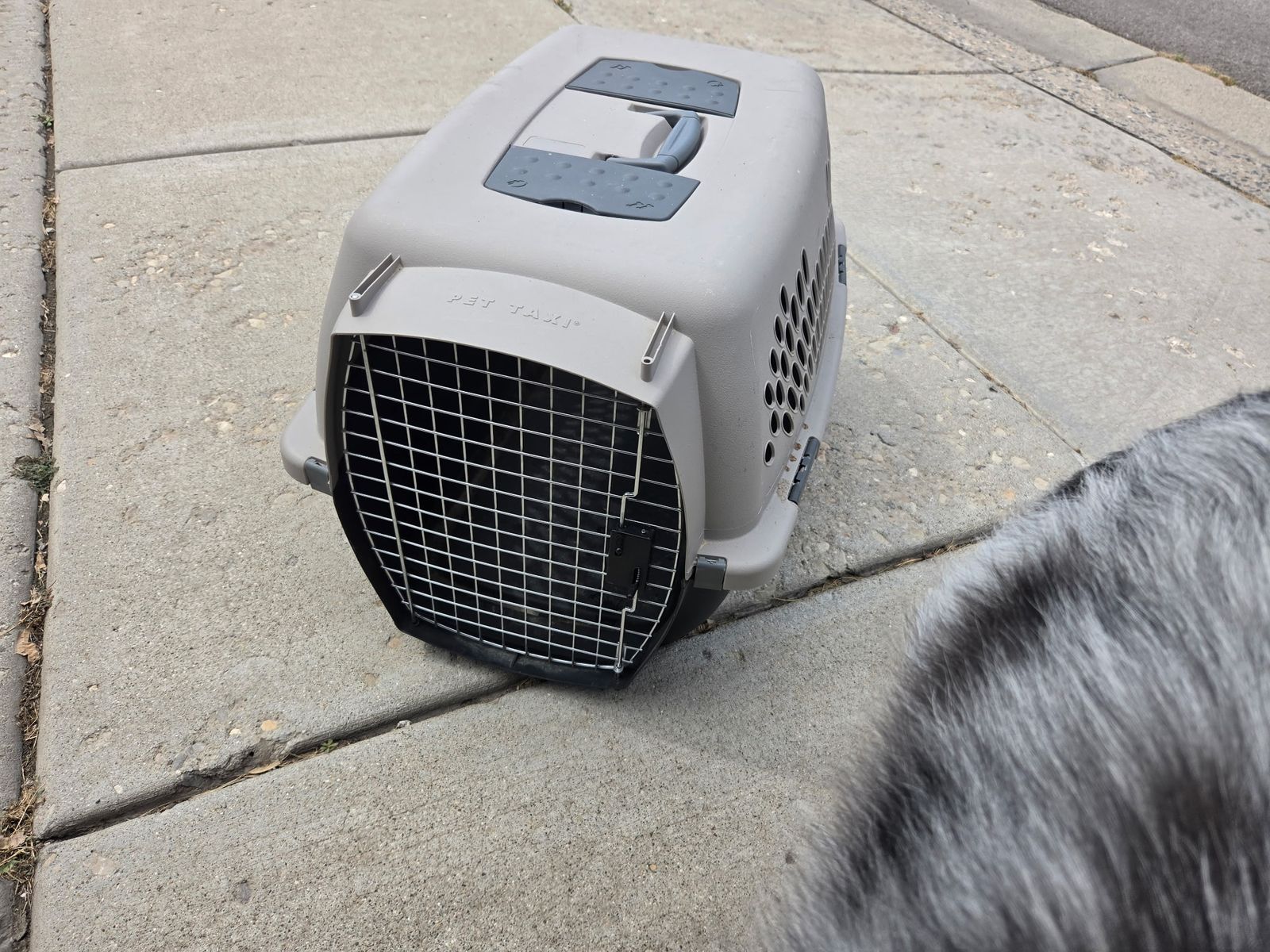 Small Dog Kennel 