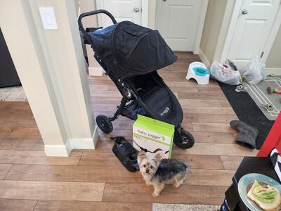 baby jogger stroller and adapter