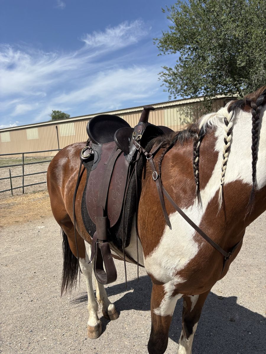 Australian Saddle