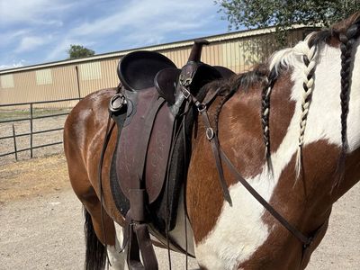 Australian Saddle