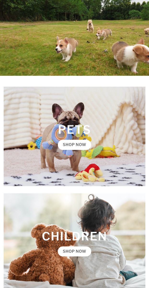 Amazon 3 year old Branded Pet and Baby Product Store- Seller Financing Available