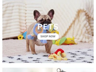Amazon 3 year old Branded Pet and Baby Product Store- Seller Financing Available