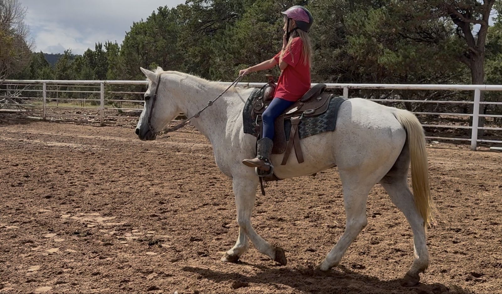 Fun beginner or youth horse!