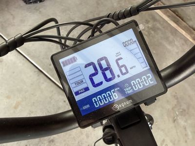 Magnum E-Bike Lowrider