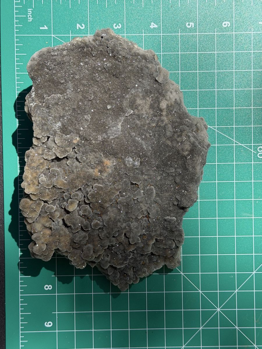 Main image 5