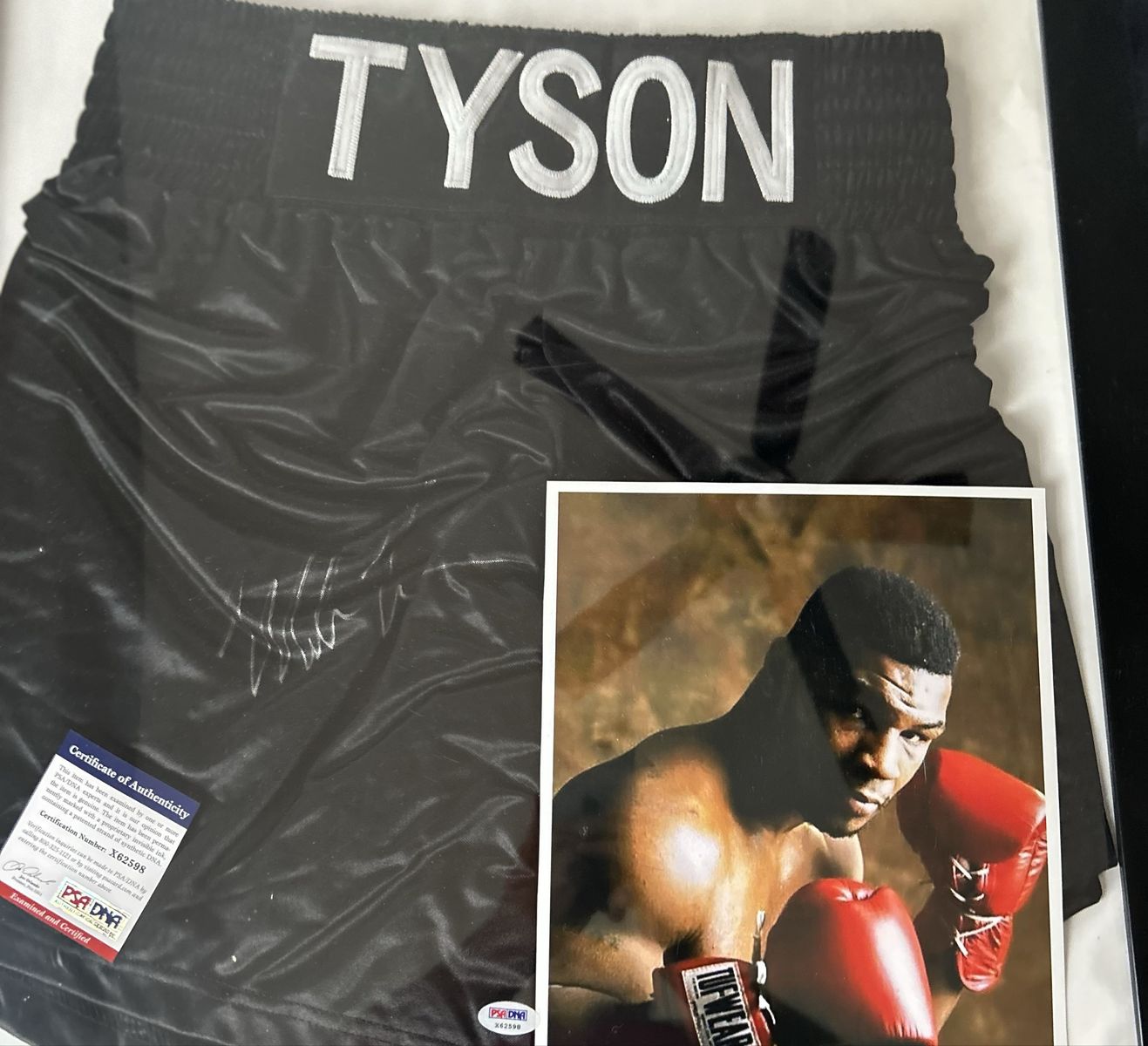 Mike Tyson singed boxing shorts and DNA cert