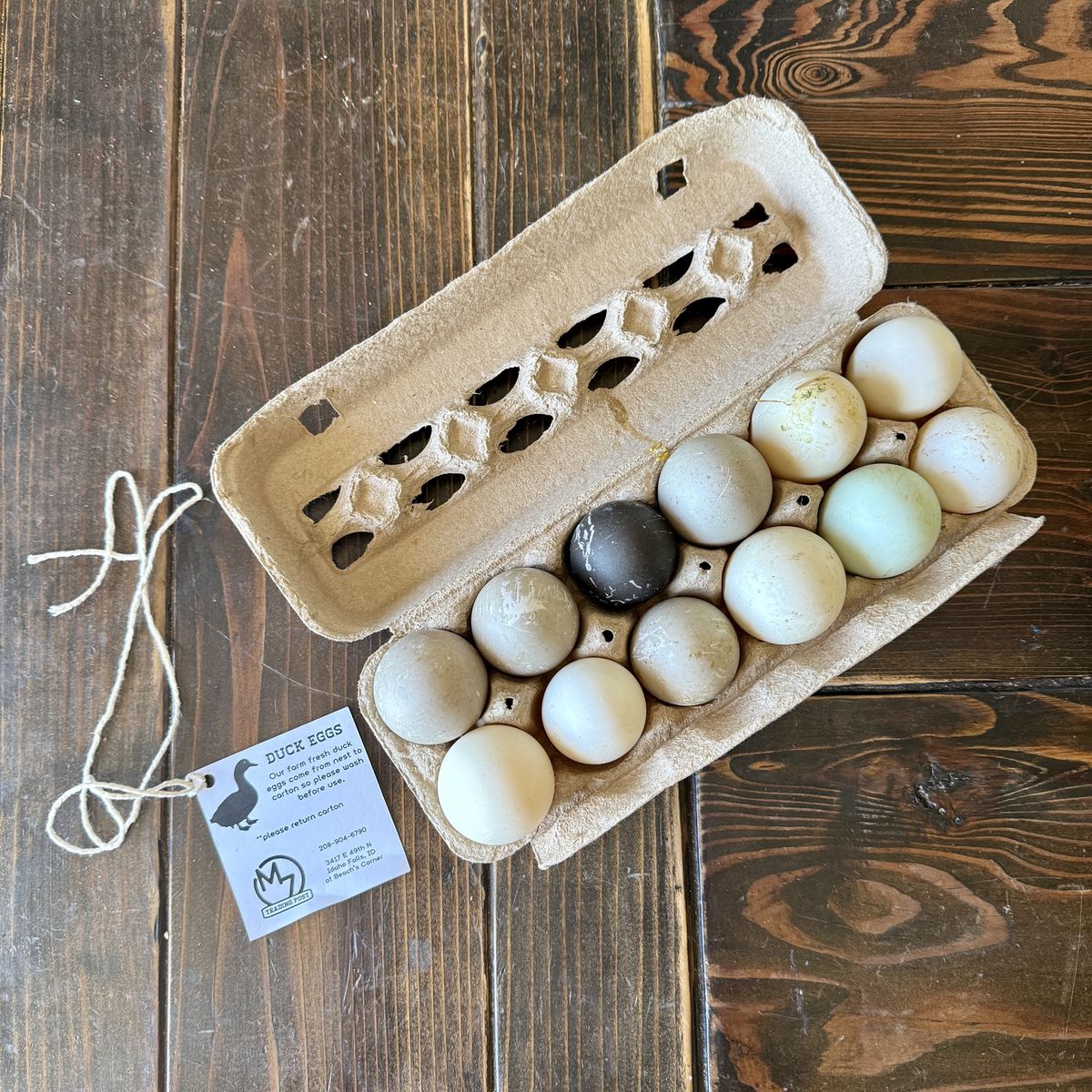 Fresh Farm Duck Eggs – Rich, Delicious & Local