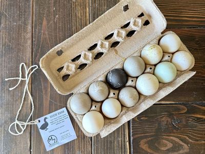 Fresh Farm Duck Eggs – Rich, Delicious & Local