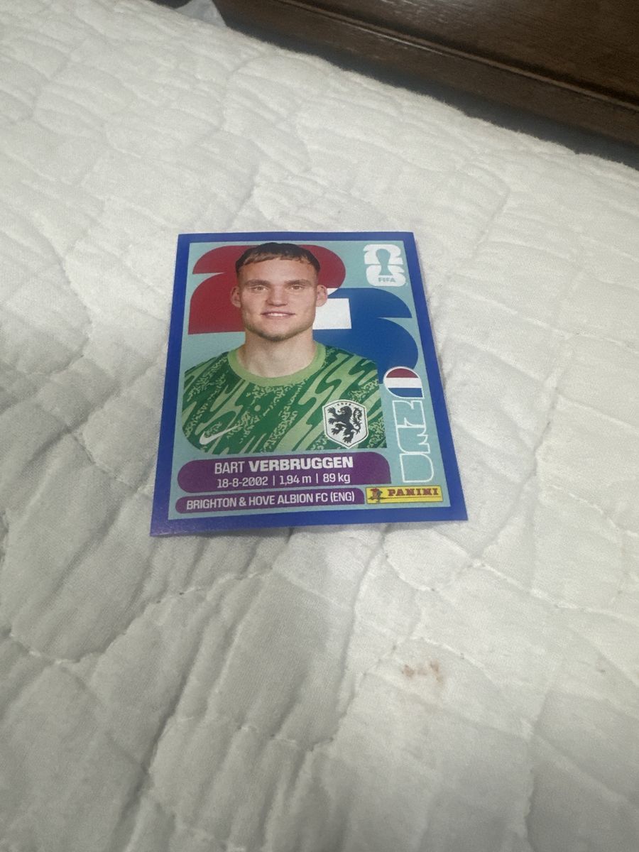 Panini FIFA Bart Verbruggen Trading Card - Brighton & Hove Albion FC (ENG)