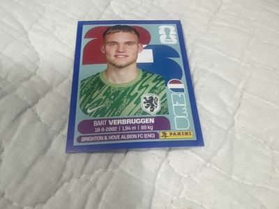 Panini FIFA Bart Verbruggen Trading Card - Brighton & Hove Albion FC (ENG)