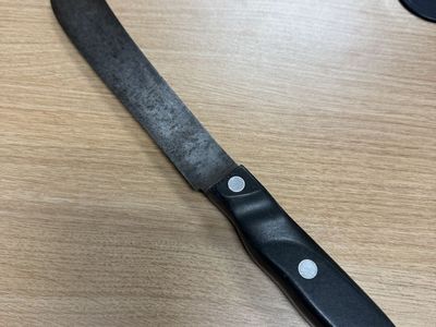 Carbon steel butcher knife
