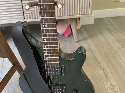 Washburn BT-2
