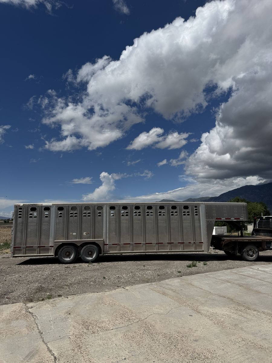 2014 Wilson Aluminum Stock trailer