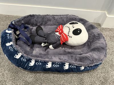 Baby lounger