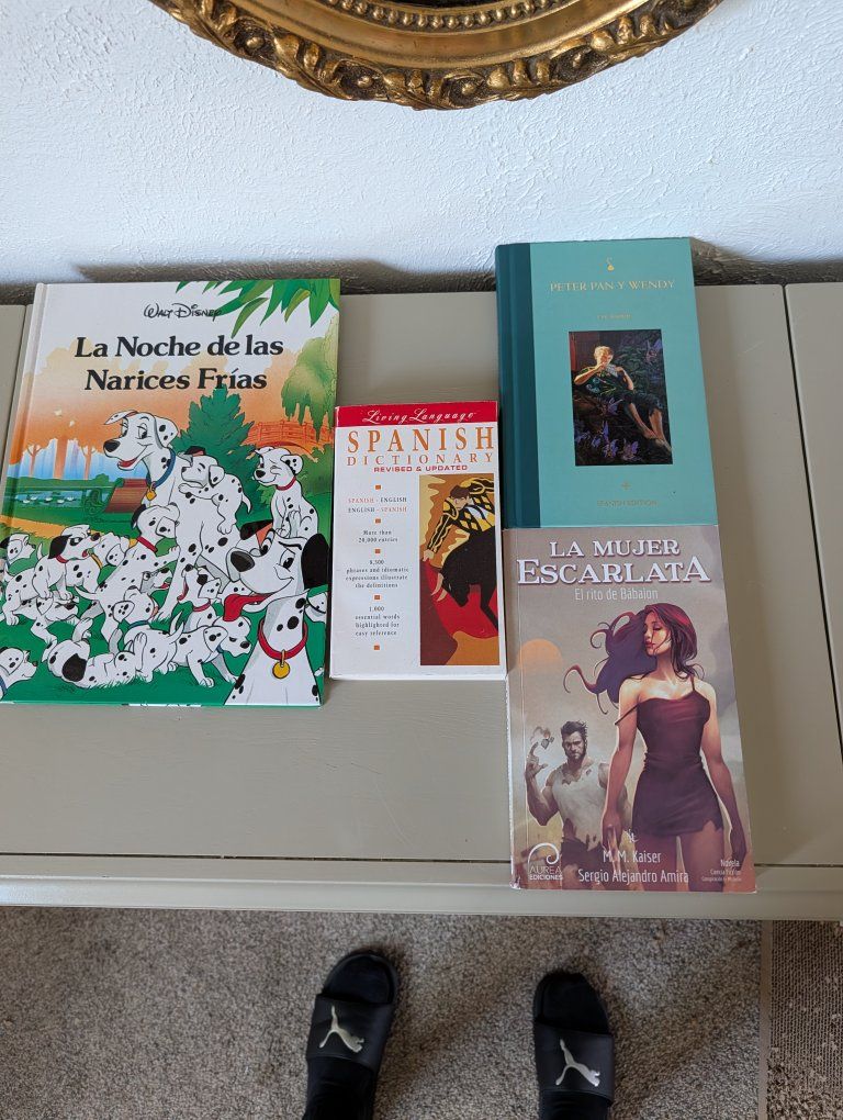 Vintage Spanish book bundle $25 for all