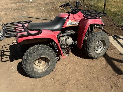 1999 Yamaha BearTracker 250