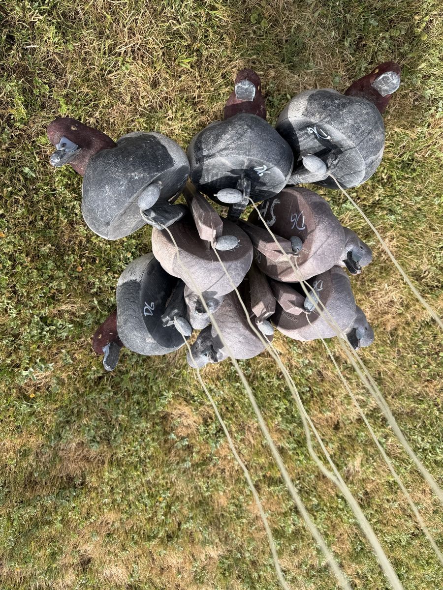 Main image 4