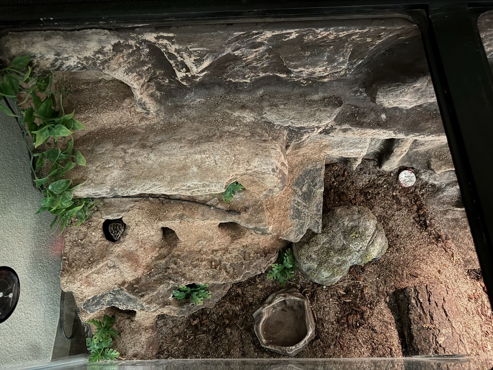 Main image 6