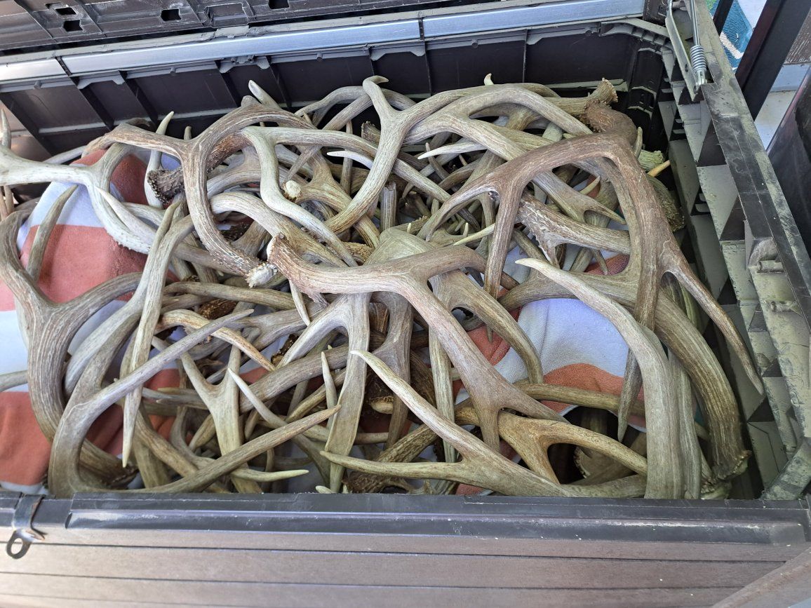 Elk and deer sheds