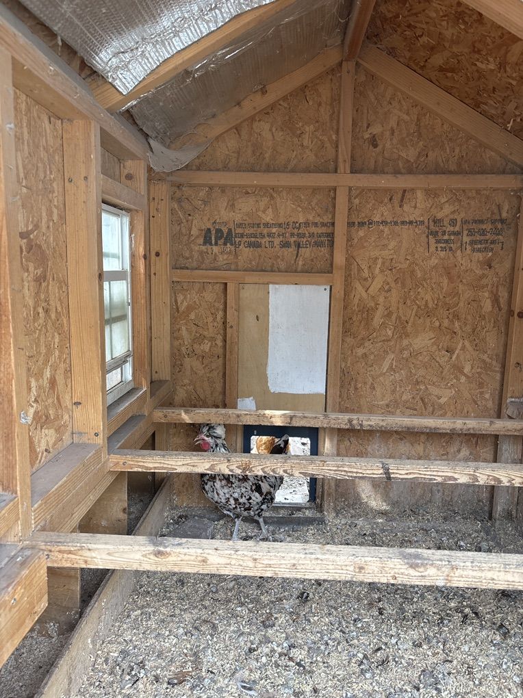 Main image 4