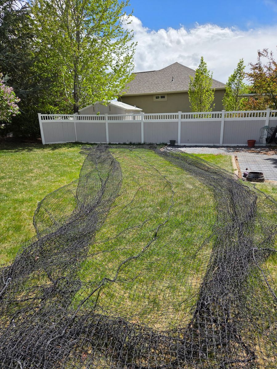 Batting net and mat