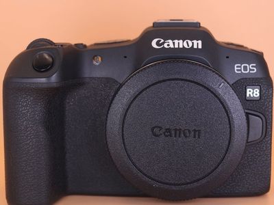 Canon R8 , rfs 18-150mm