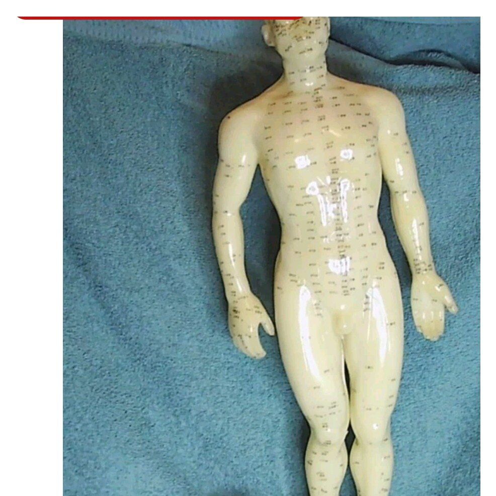 Vintage Chinese Acupuncture Model