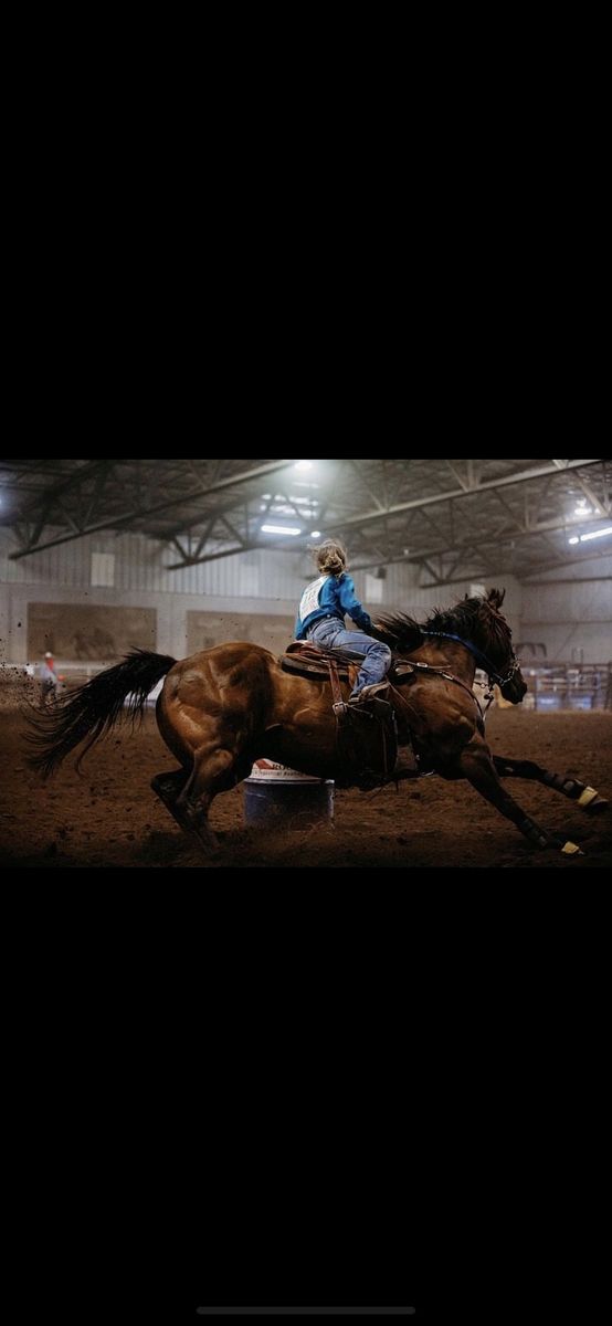 Barrel horse