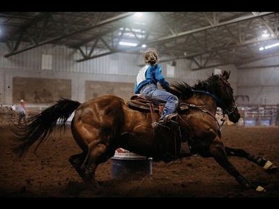 Barrel horse