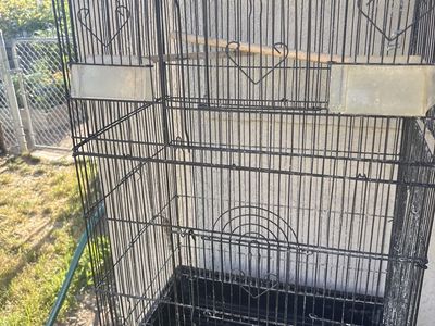 Parakeet for sale with cage $50.00