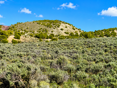 Secluded 1.13-Acre Tiny Home Cabin Site with Mountain Views!