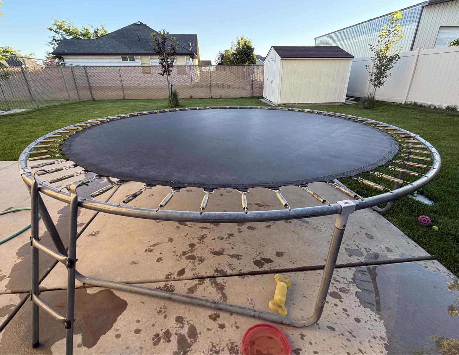 Trampoline
