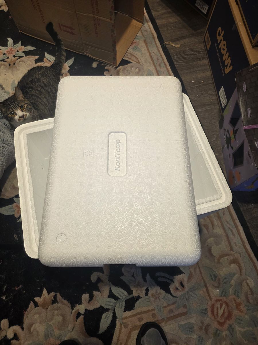 Styrofoam cooler with lid & 10 ice packs