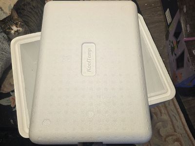 Styrofoam cooler with lid & 10 ice packs
