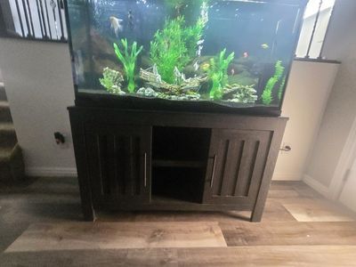 55 gallon aquarium and stand
